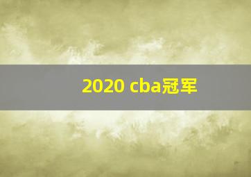 2020 cba冠军